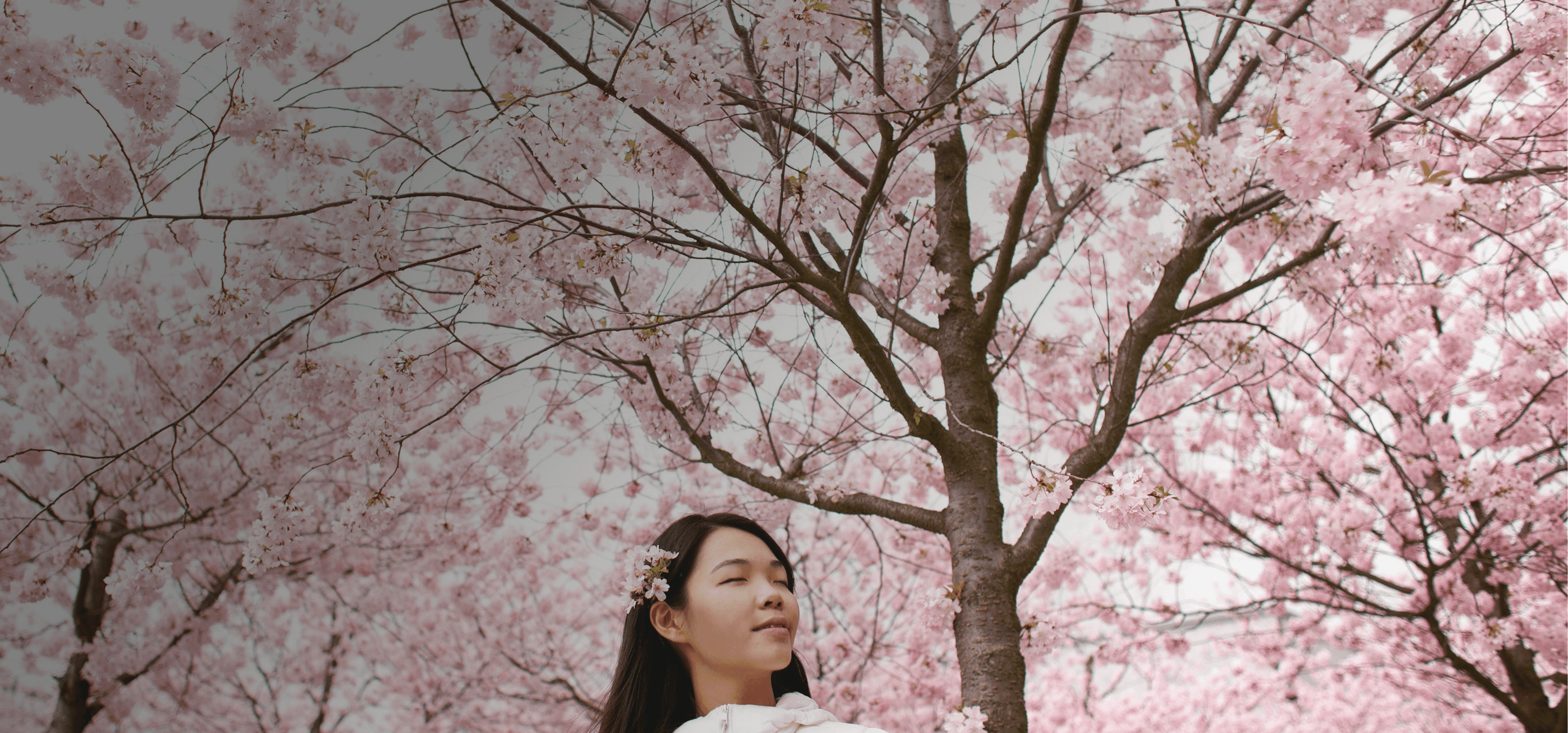 Girl stands serenely in front of cherry blossoms that block out the whole sky. Overlaid is the Japanese word "haru" with its English translation, "spring".