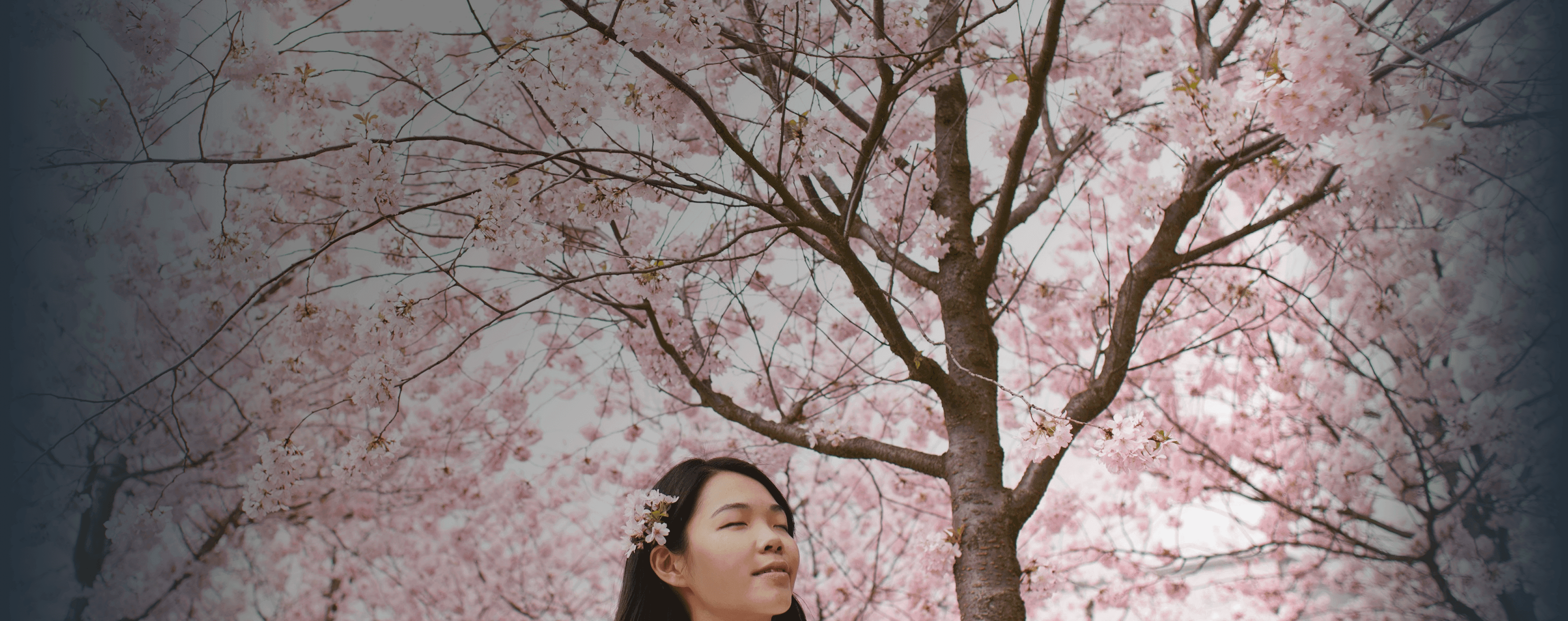 Girl stands serenely in front of cherry blossoms that block out the whole sky. Overlaid is the Japanese word "haru" with its English translation, "spring".