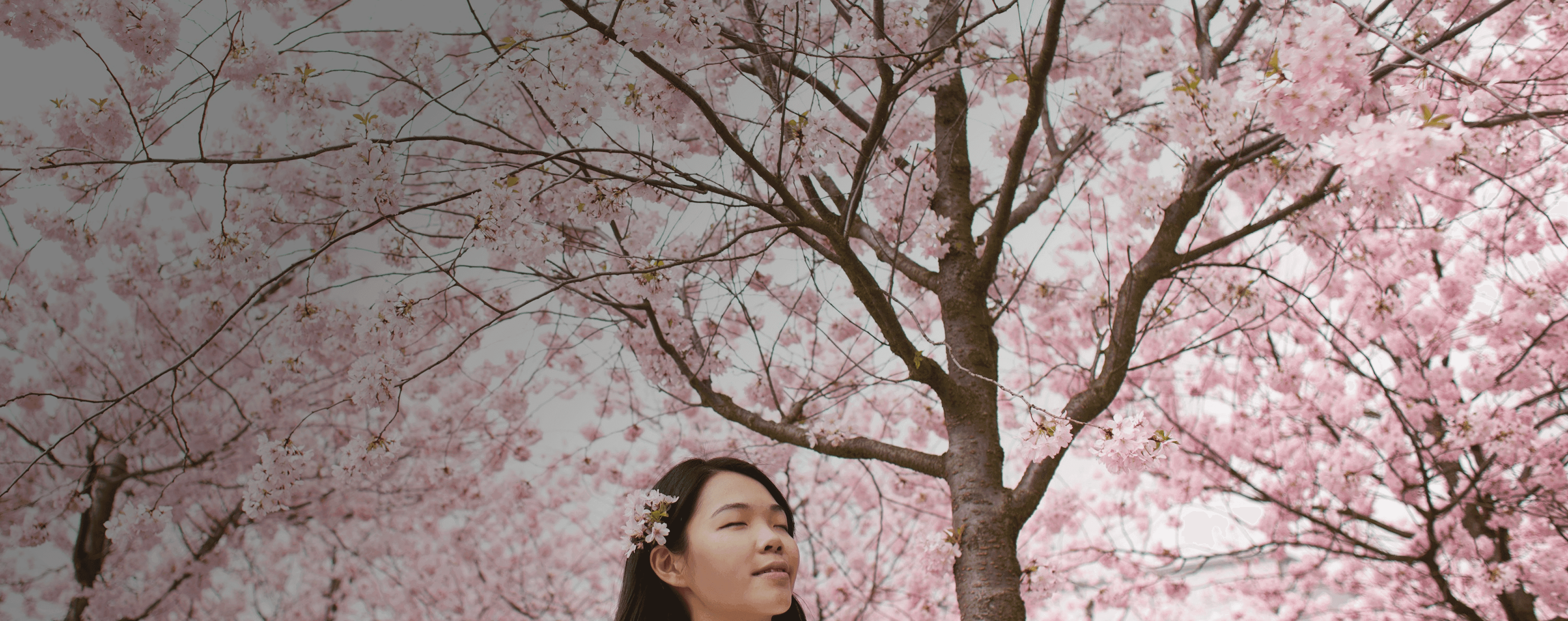 Girl stands serenely in front of cherry blossoms that block out the whole sky. Overlaid is the Japanese word "haru" with its English translation, "spring".
