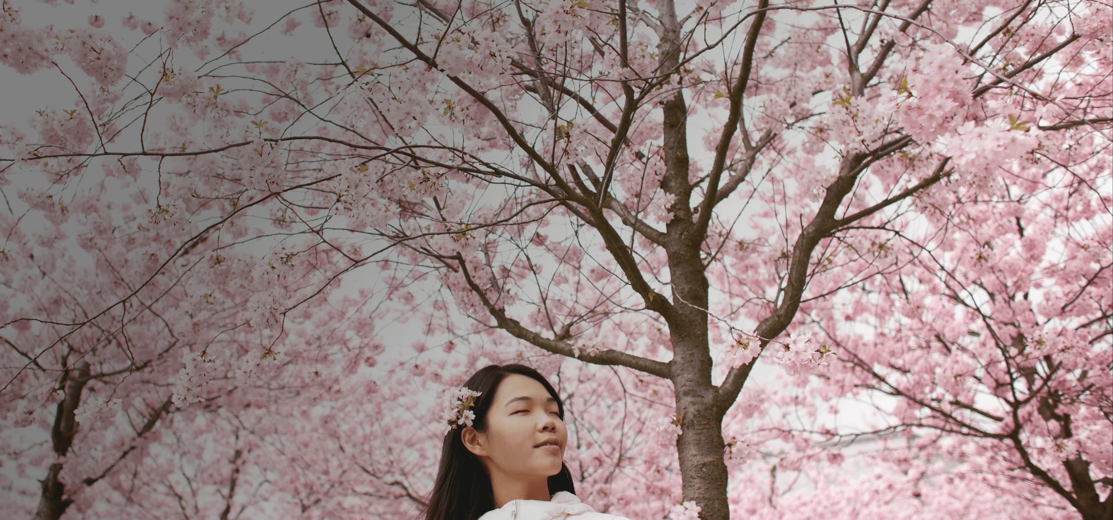Girl stands serenely in front of cherry blossoms that block out the whole sky. Overlaid is the Japanese word "haru" with its English translation, "spring".